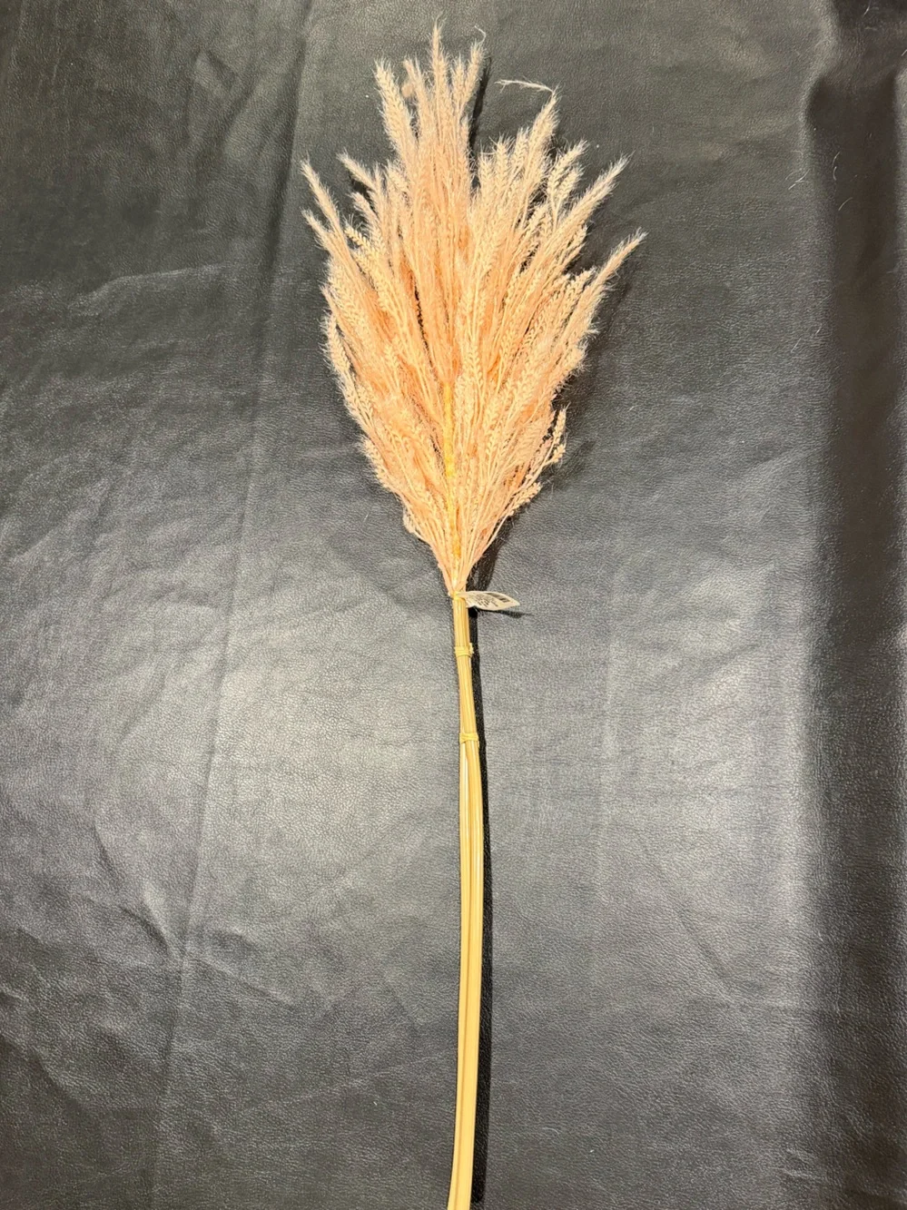 Threshold Dried Wheat Stem Bundle - Peachy Beige (Include 2 Stems) NWT